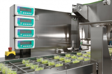 Indicadores de peso WDESK en máquina de alimentos para llenar bandejas de ensaladas