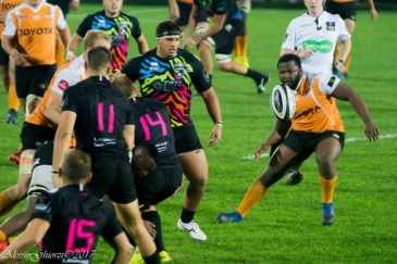 Zebre Rugby Club