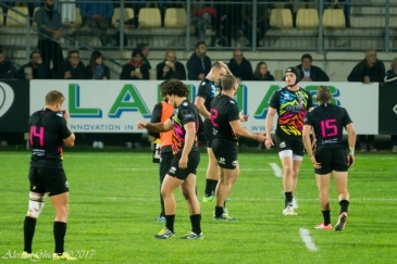 Zebre Rugby Club