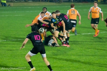 Zebre Rugby Club