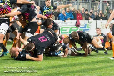 Zebre Rugby Club