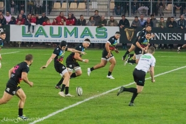 Zebre Rugby Club