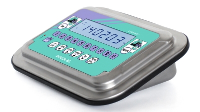 WINOX BL/BR weighbridge indicators