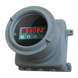 ADPE W100RIP - W100RIP REMOTE DISPLAY INTO EXPLOSION PROOF BOX