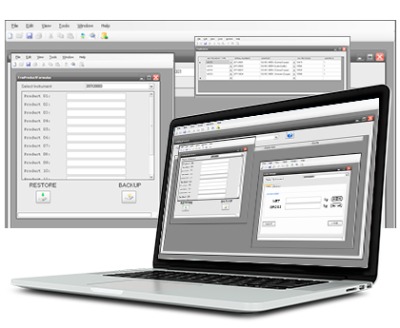 JOLLYPRINT - SOFTWARE PARA LA PERSONALIZACIÓN DE IMPRESIONES Y DEL IDIOMA JOLLY EN INDICADORES DE PESO