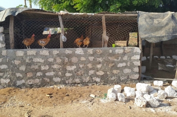 The chicken coop